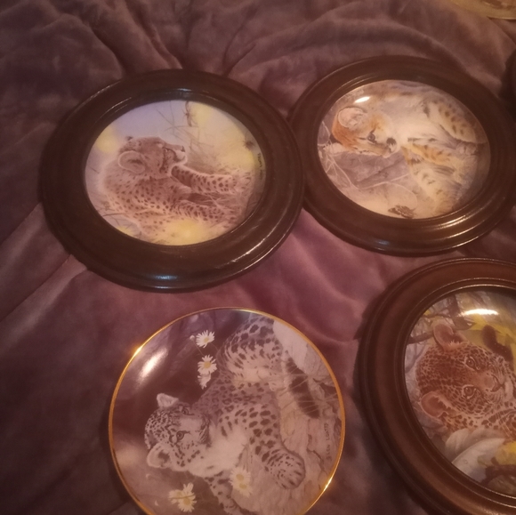 Everything - Picture 7 of 10